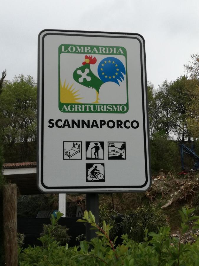 Agriturismo Scannaporco Cavriana Bagian luar foto